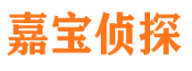 绿春市调查公司